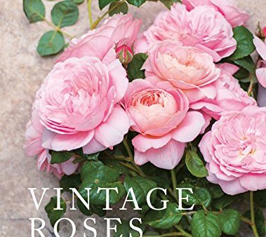 Vintage Roses Book on Sale