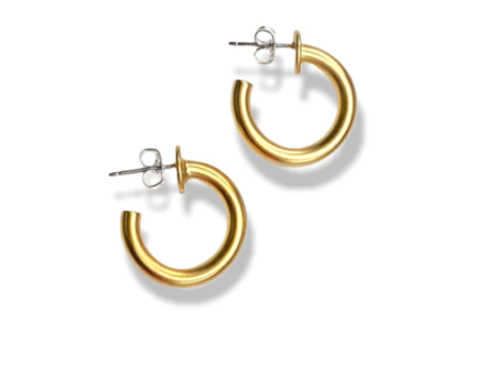 Smoothie Hoop Small Earrings Hot on Sale