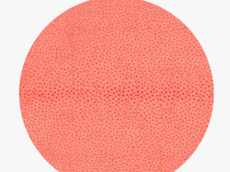 Shagreen Coral Round Placemat Online now