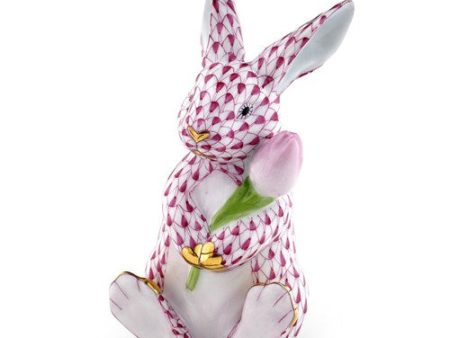 Blossom Bunny Raspberry Discount