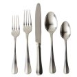 Bistro Bright Satin 5pc Place Setting Sale