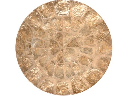 Champagne Capiz Placemat Set of 4 For Sale