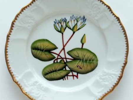 Seascape-Waterlily Salad Plate Supply