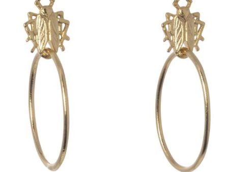 Tiny Goldbug Hoop Earrings Sale