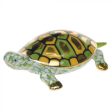 Key Lime Baby Turtle Cheap