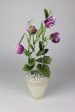 April Sweetpea in White Terracotta Pot Online Hot Sale